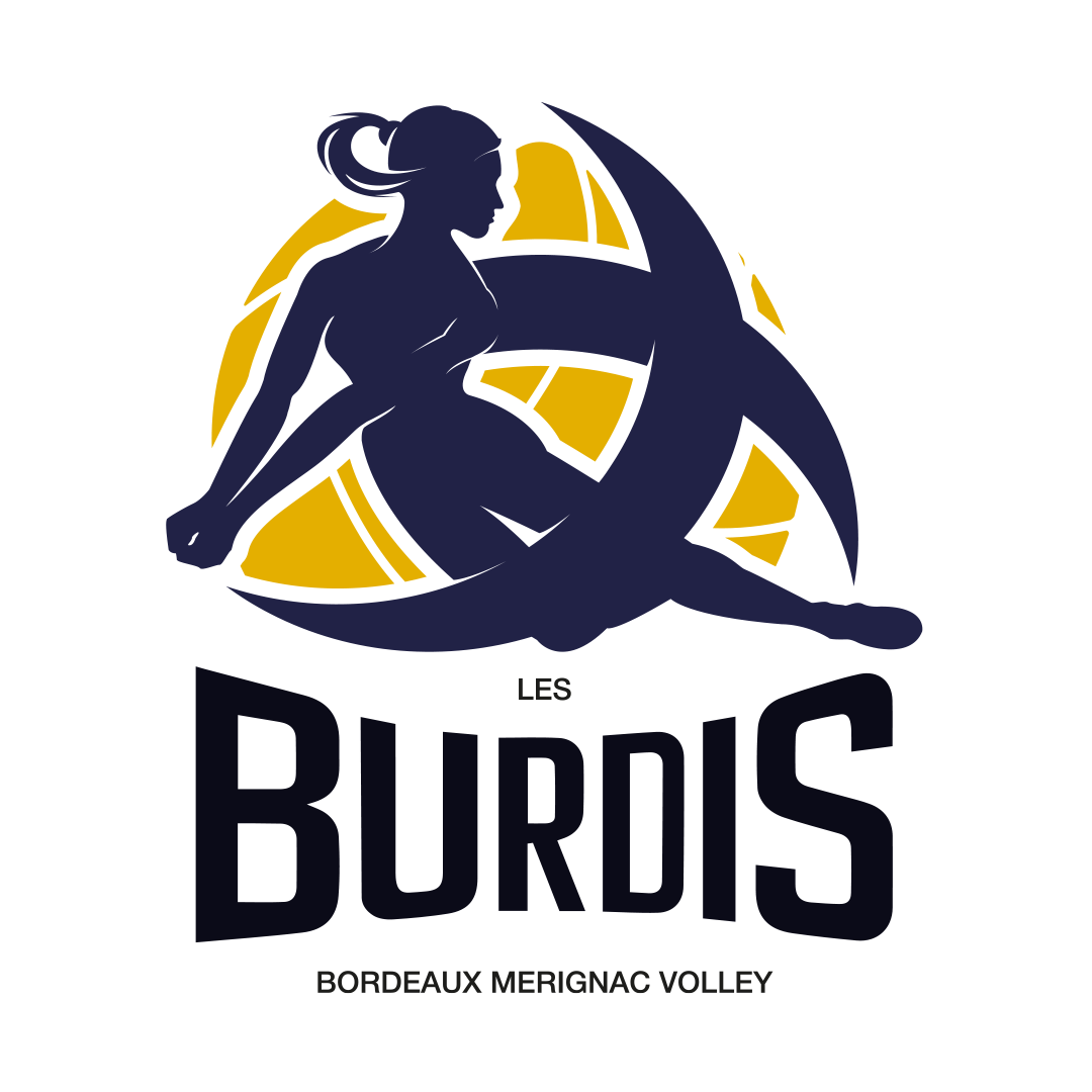 bordeaux merignac volley